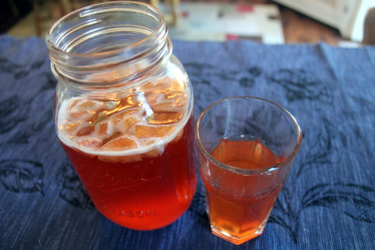 Homemade Kombucha 101