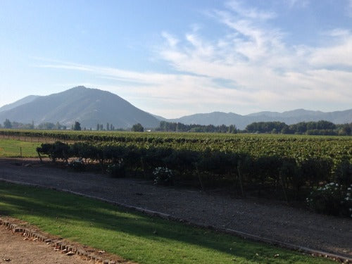 Eat, Drink, and Be Merry In the Napa Valley of Chile