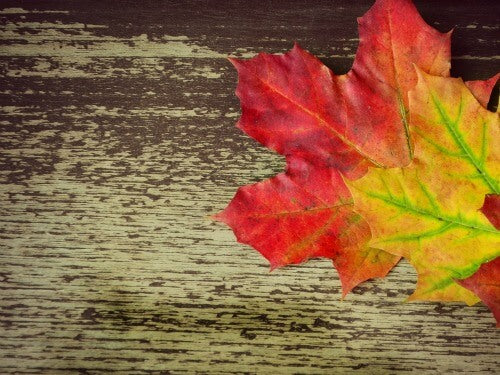 Autumnal Writing Prompts