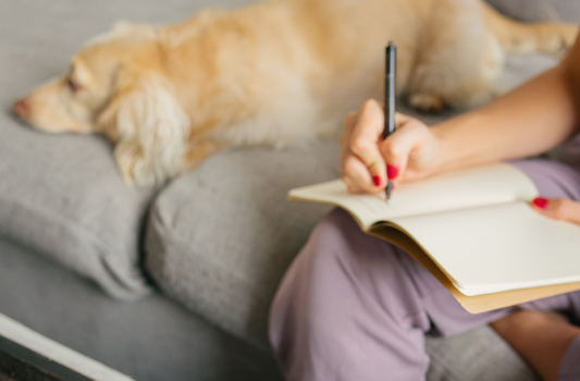 4 Things You Can Do to Maintain Serenity During the Holidays