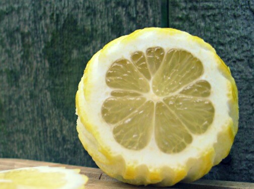 Even MORE Lemon Recipes