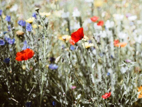 How to Find The Little Things That Make Life Easier