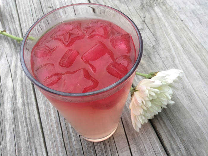 Fancy Tea Ice Cubes to Chill You Out