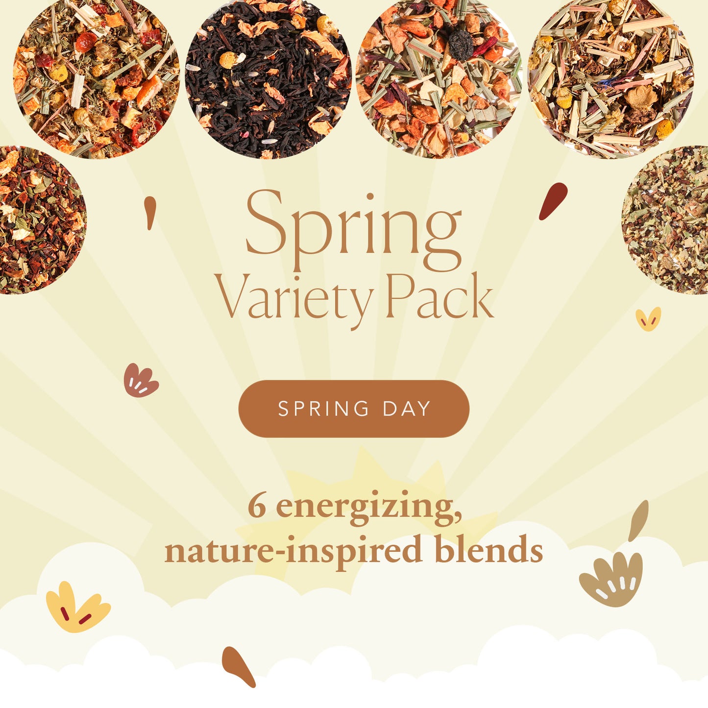 Spring Tea Variety Pack [6-Pack Variety of Flavors]