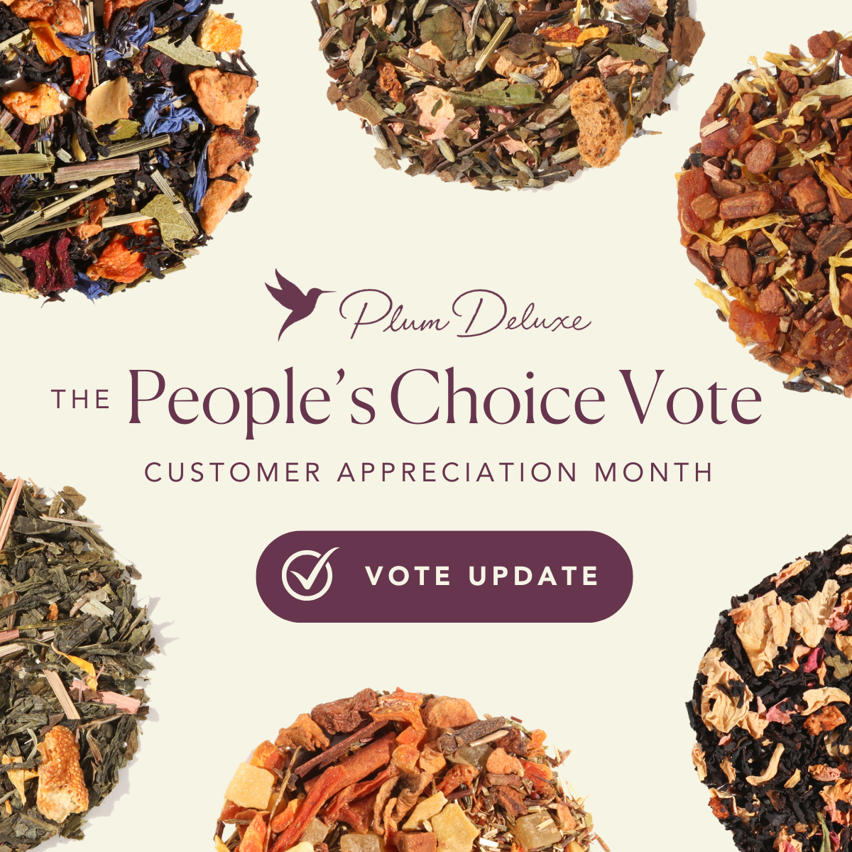 It's time for the Plum Deluxe People's Choice Vote!