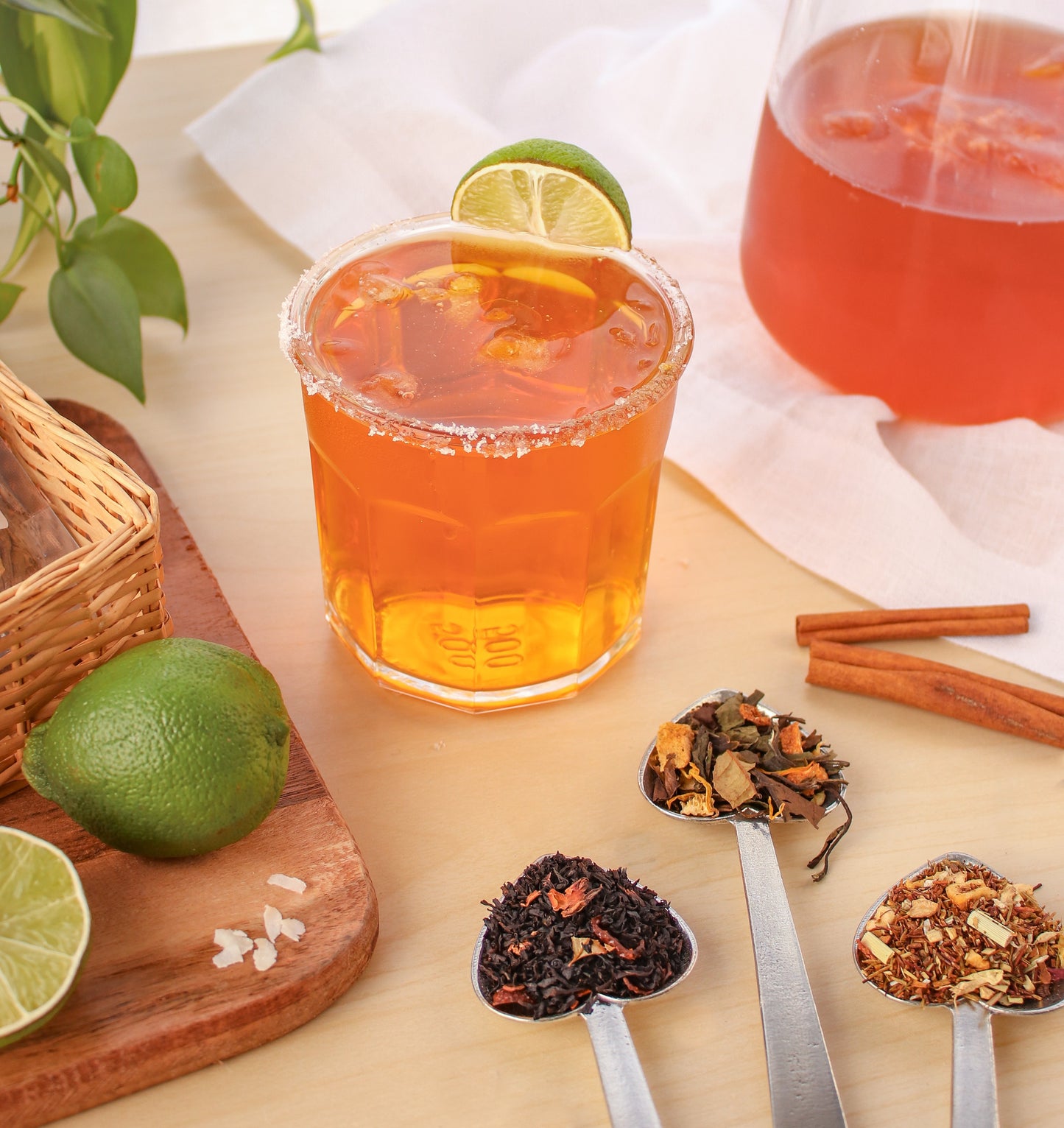 Ditto Iced Tea Bundle