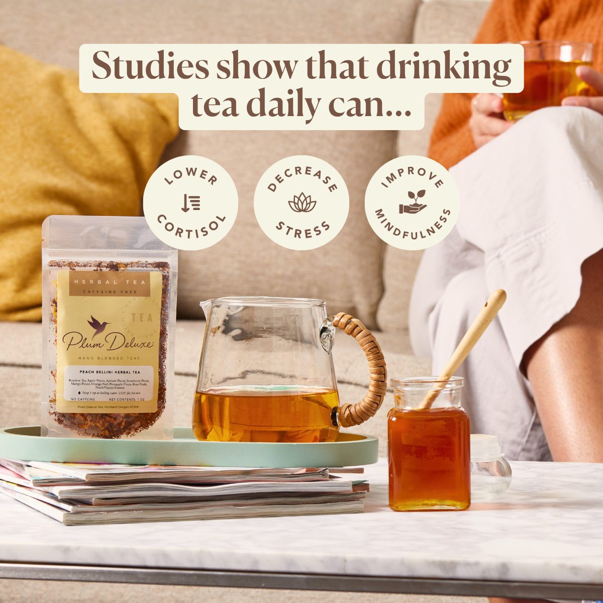 Snoopy Rooftop Reflections Herbal Tea (Apple / Cinnamon)