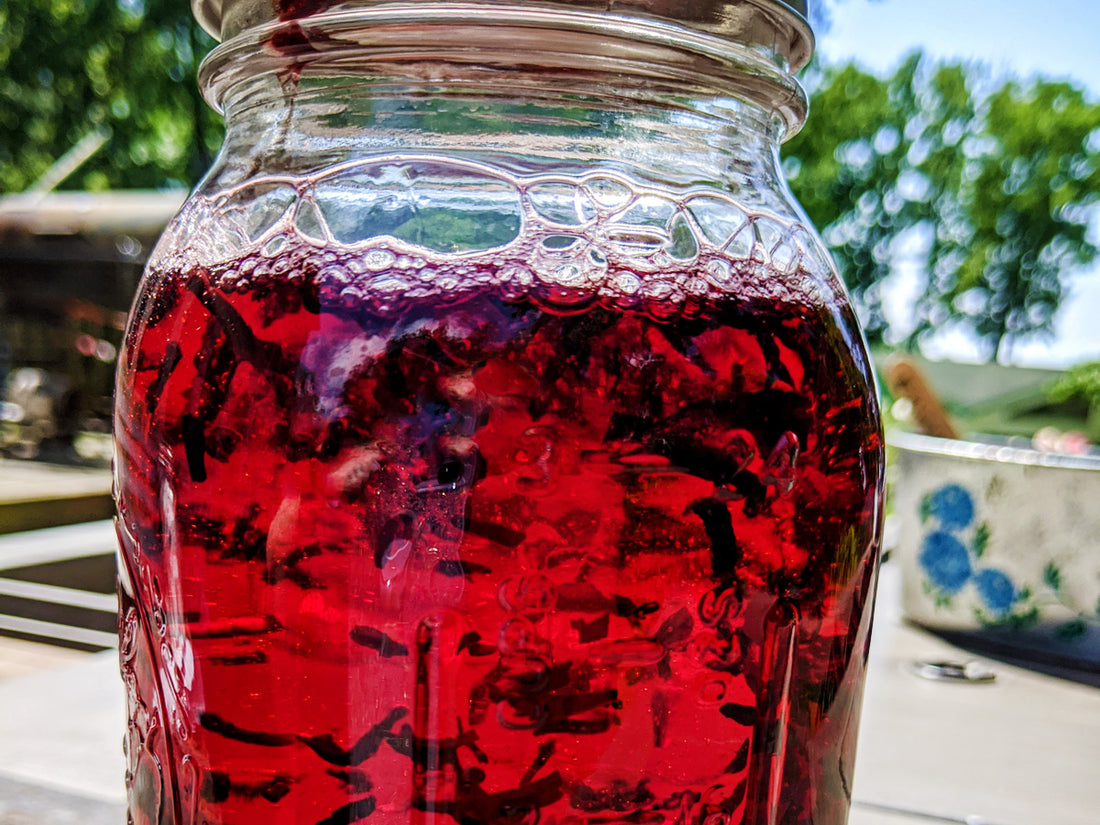 How to Make the Best Hibiscus Tea