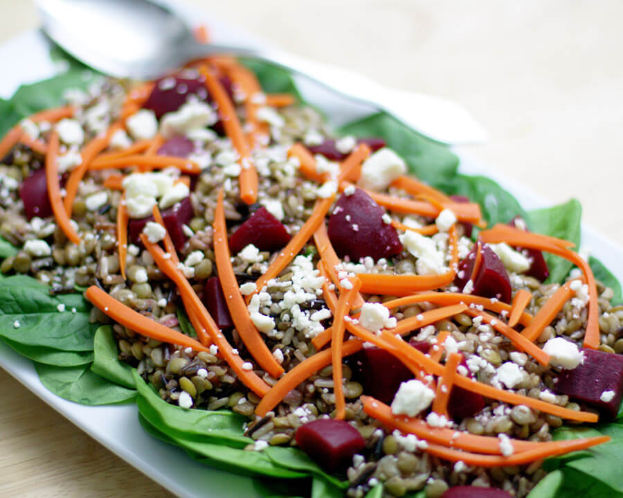 Warming Winter Wild Rice and Lentil Salad