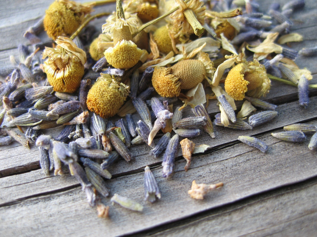 Lavender Tea Blends: What’s the Best Lavender Tea?