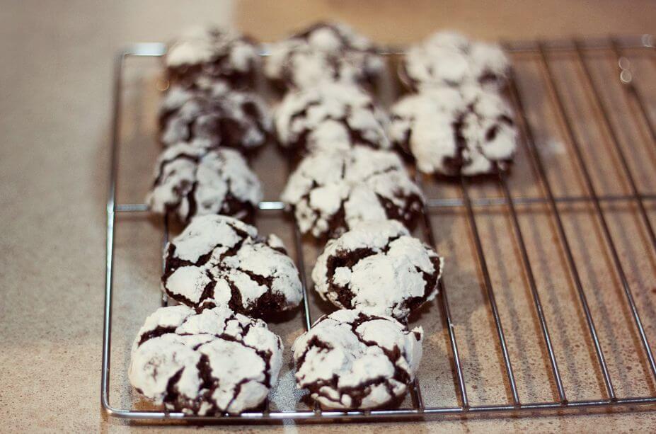 Tea Time Snack: Crunchy Cocoa Cookies