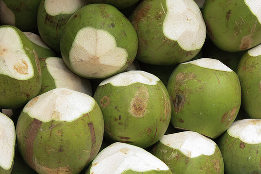 Coconut: A Summer Indulgence for Cooking and Health