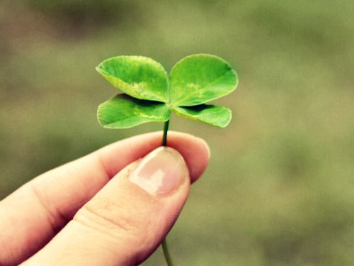 Luck Like One Simple Trick to Create More Luck in Your Life – Plum Deluxe Tea