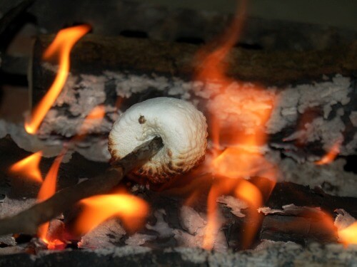 How to Roast a Marshmallow