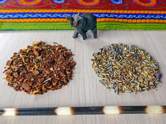 Red Rooibos vs Green Rooibos: What’s the Difference?