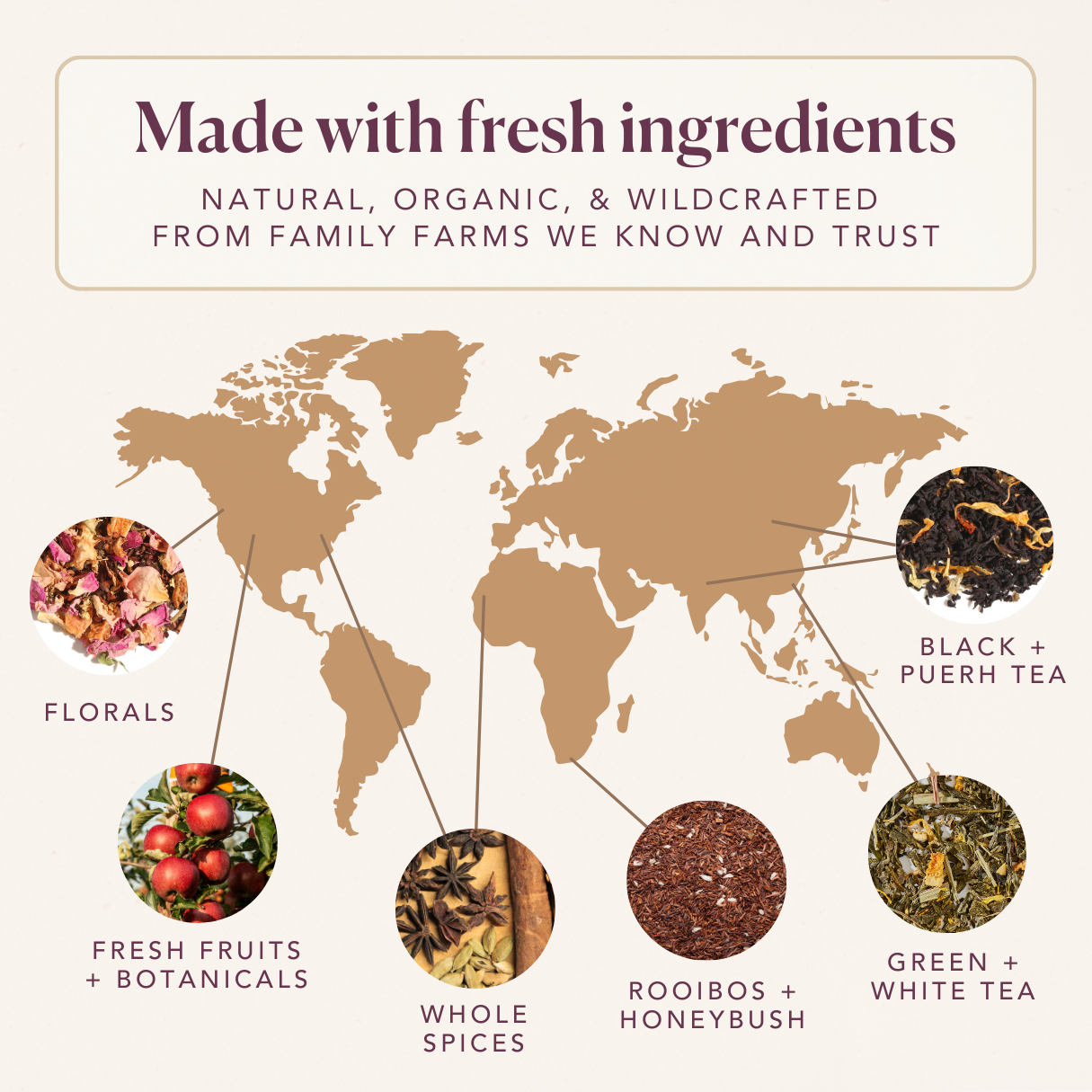 Wildberry Refresher Herbal Tea (Berries - Lavender)