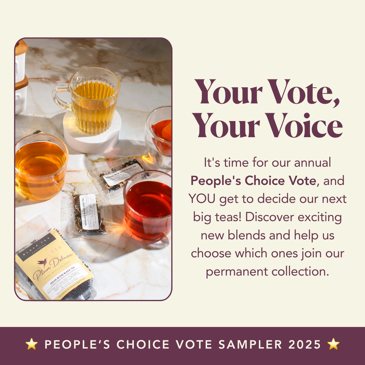 2025 People's Choice Award Vote Sampler (11 Samples)