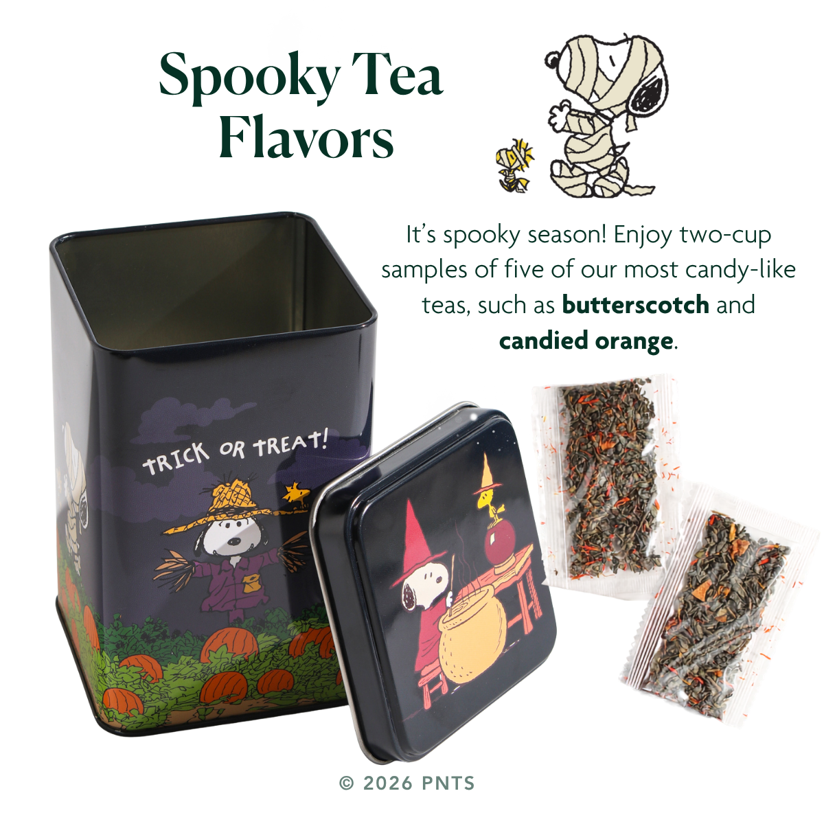 Snoopy Trick or Treat Tea Tin
