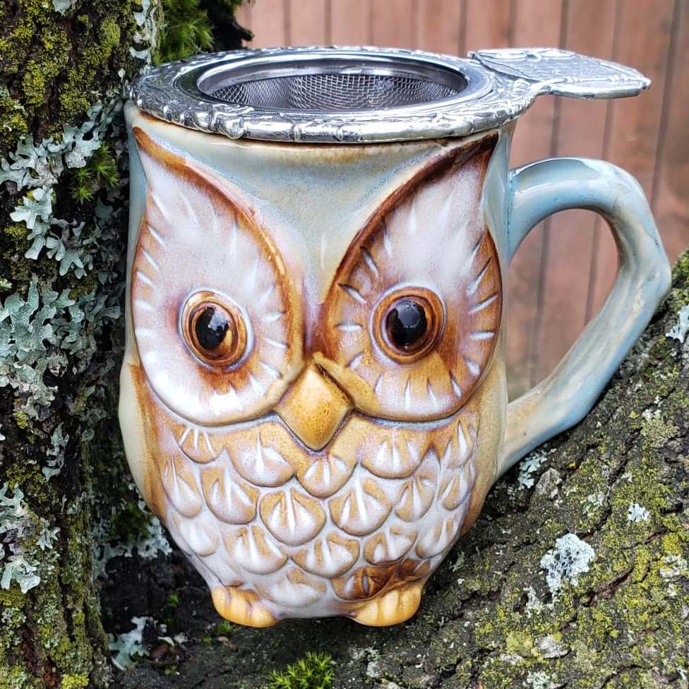 Owl Mug and Infuser (1)